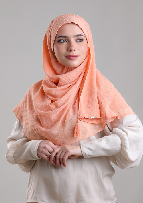 Salmon Pink-Plain Mosaic Butti Chiffon